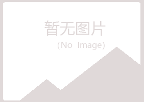 樟树冰夏化学有限公司